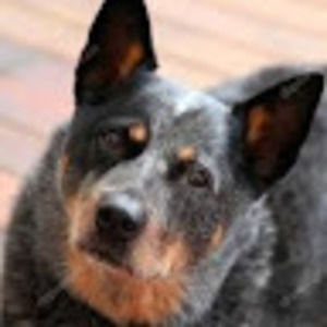 Meet your Posher, Keith